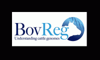 BovReg_logo.gif