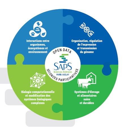 SAPS-GRAPH