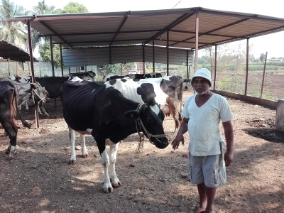 The International Associated Laboratory, GIMIC IMprovement of Indian Cattle and buffaloes)